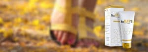 BeezMax